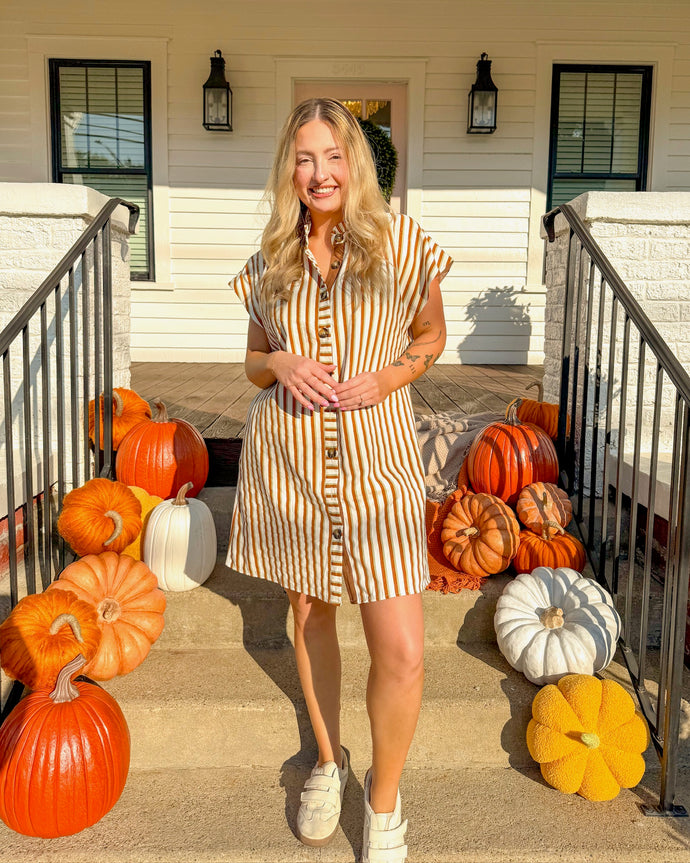 The Neutral Shift Striped Dress