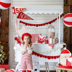 Santa Felt Pennant Flag