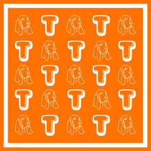 Load image into Gallery viewer, TN Bandana Gameday Scarf

