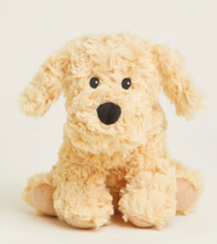 Load image into Gallery viewer, Warmies- Golden Dog- Junior
