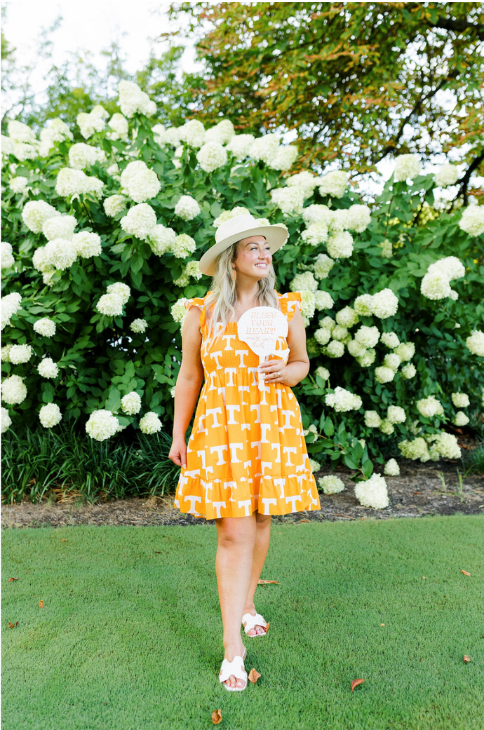 UT  Poplin Smocked Dress