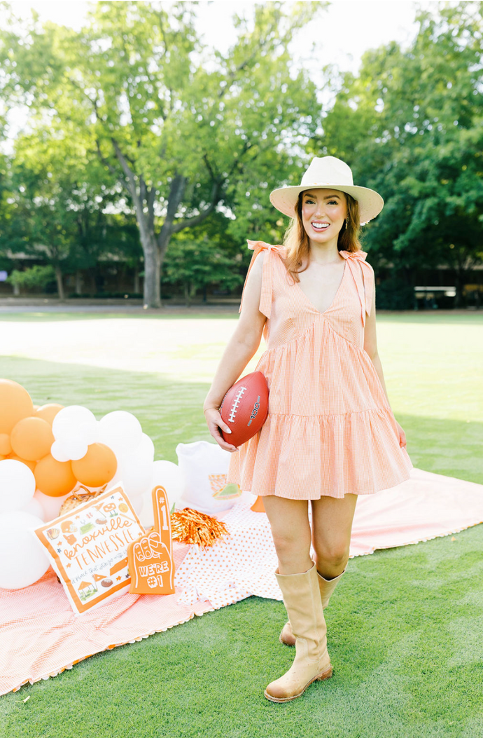 Tie it up Gingham Dress